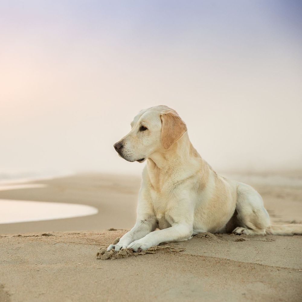 Meet your Posher, Whitney